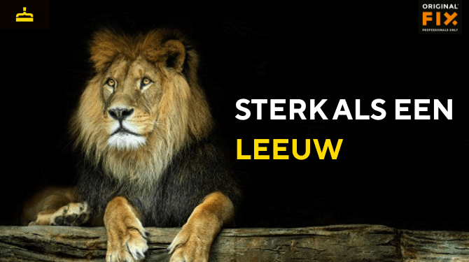 Afbeelding voor: Laat de kracht van de leeuw los met Original Fix op Dierendag!