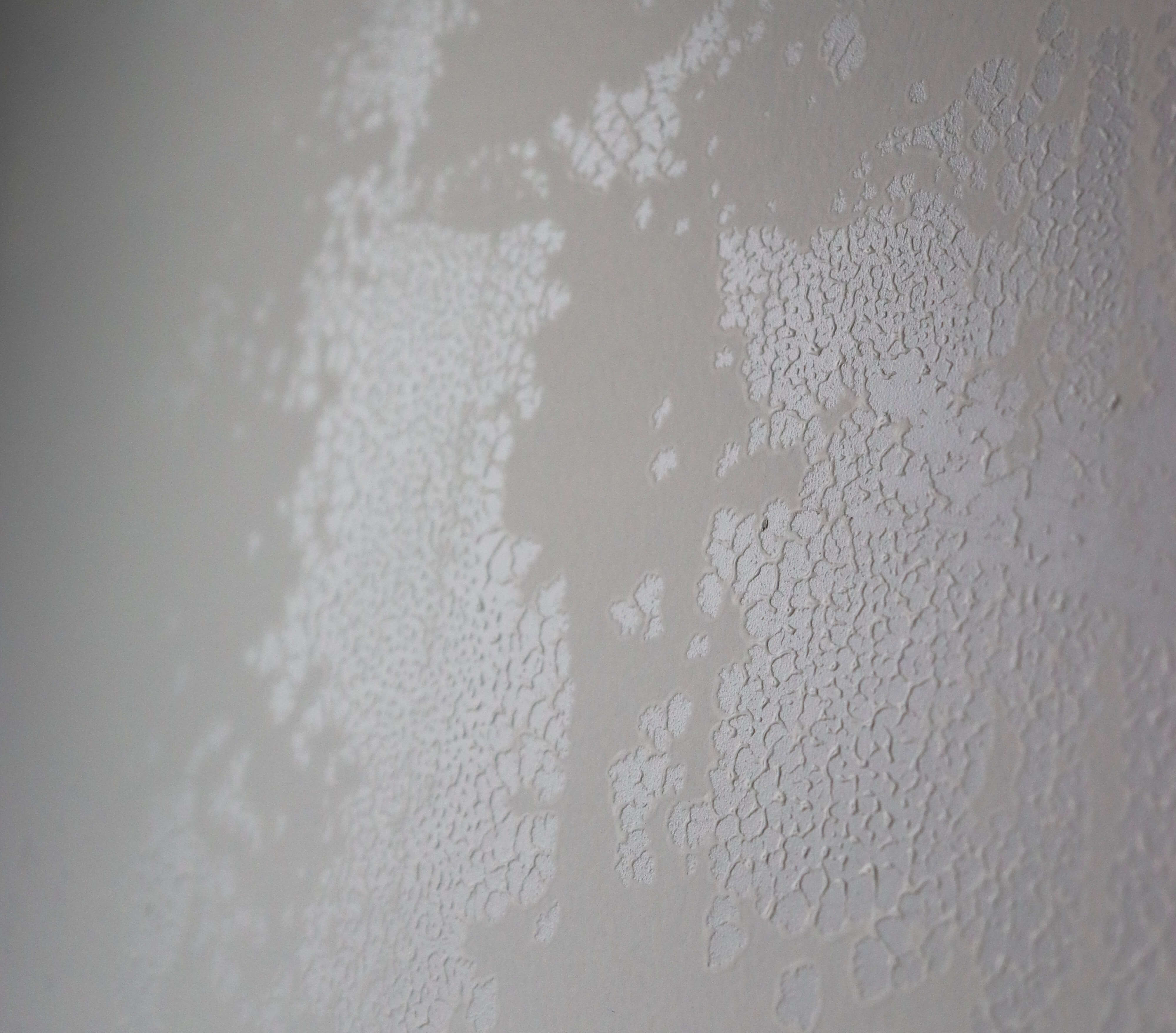 Afbeelding voor: Als oppervlaktespanning schilderwerk onderuit haalt