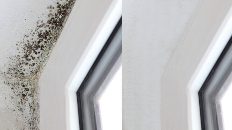 Afbeelding voor: Waarom een alkalisch silicaatsysteem schimmelvorming actief tegengaat